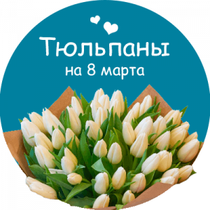 Купить тюльпаны в Ширине